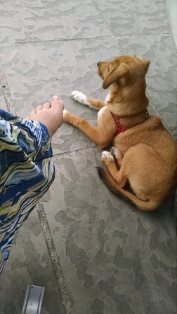 10950880_447609932055731_193806676_n